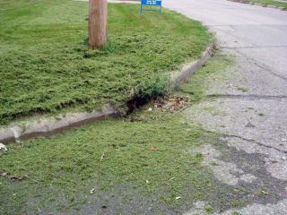 Improper Grass Cutting Disposal Image